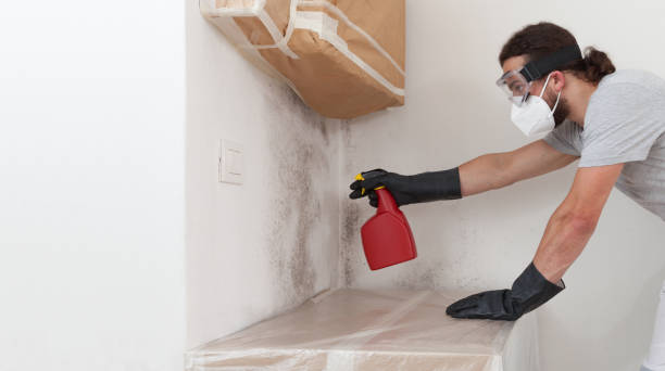 Professional Mold Removal technician working in Exmore, VA
