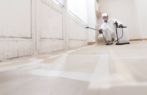 24/7 Emergency Mold Removal experts in Exmore, VA