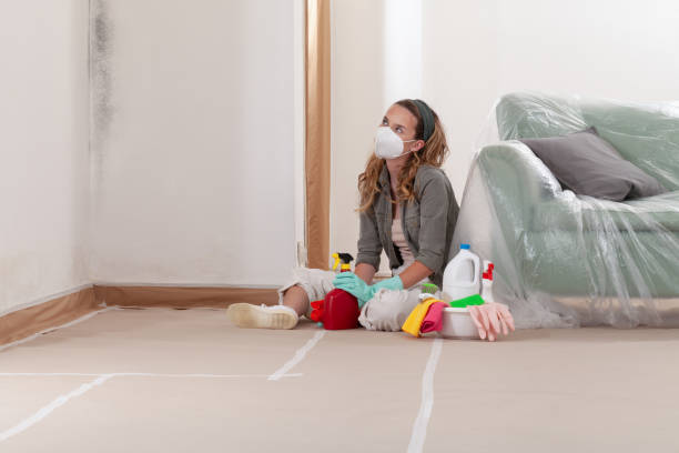 Reliable Mold Removal contractor in Exmore, VA by 24 Hour Mold Removal