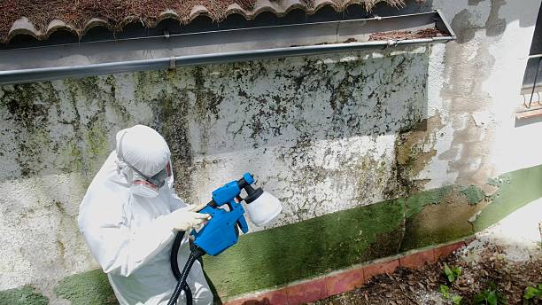 Top rated local Mold Removal specialists in Exmore, VA